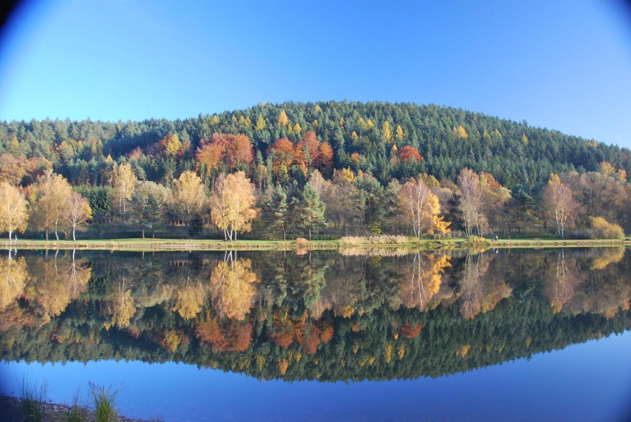 Pension & Metzgerei Friedrich Trebgast Esterno foto